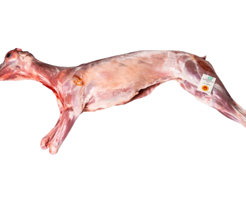 CABRITO INTEIRO