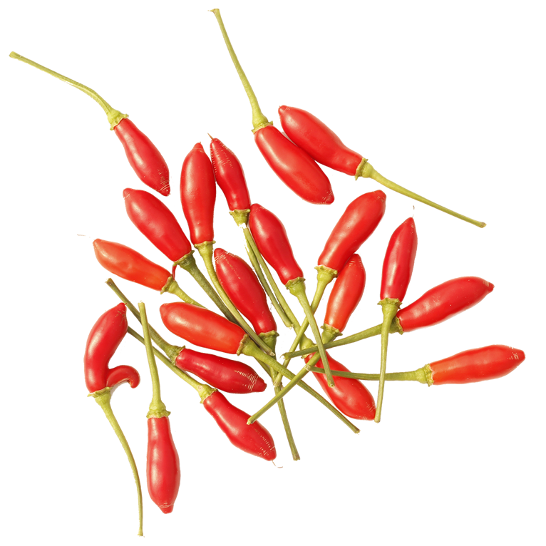 PIRI PIRI VERMELHO FRESCO KG