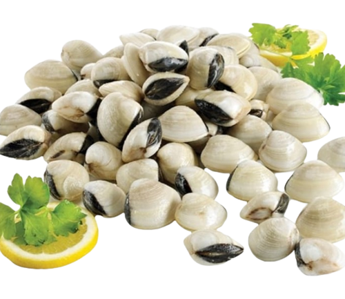 AMÊIJOA C/ CASCA MAR IBÉRICA KG