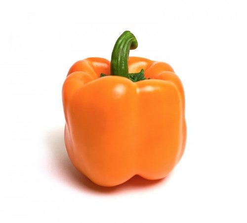PIMENTO LARANJA CATII