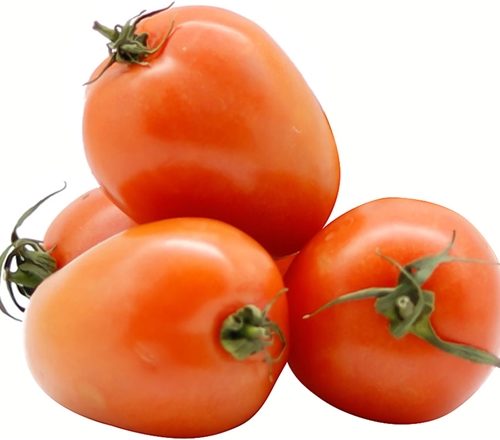 TOMATE CHUCHA CATII PORTUGAL