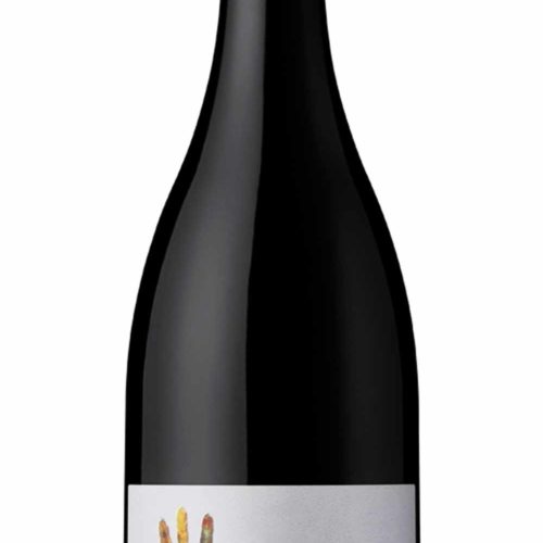 VINHO TINTO EVIDENCIA DÃO 75CL 13%