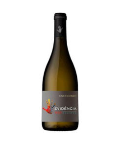 VINHO BRANCO ENCRUZADO EVIDÊNCIA DÃO RESERVA 75CL