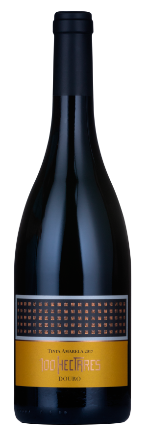 V TINTO 100HECTARES TINTA AMARELA 75CL DOURO - Image 2