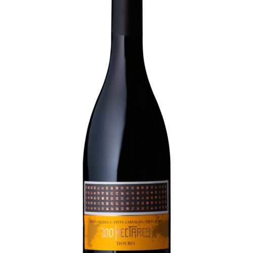 V TINTO 100HECTARES TINTA AMARELA 75CL DOURO