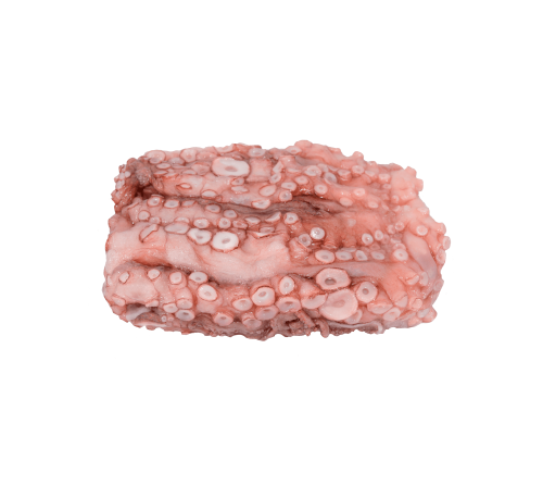 POLVO COSTA LIMP MAR IBERICA 600GR PORTUGAL