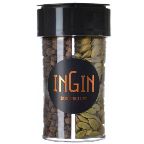 ESPECIARIAS INGIN 67GR