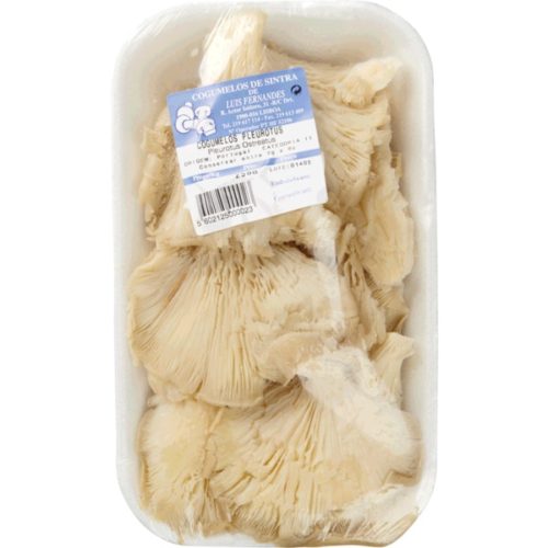 COGUMELOS PLEUROTUS LSF 250GR
