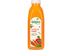 SUMO MAÇA/CENOURA COPA 750ML