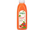 SUMO MAÇA/MORANGO COPA 250ML