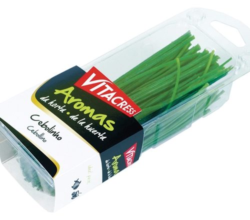 CEBOLINHO VITACRESS 30GR