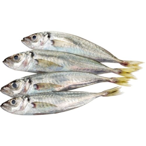 CARAPAU GRANDE 2/5 MAR IBÉRICA AVULSO