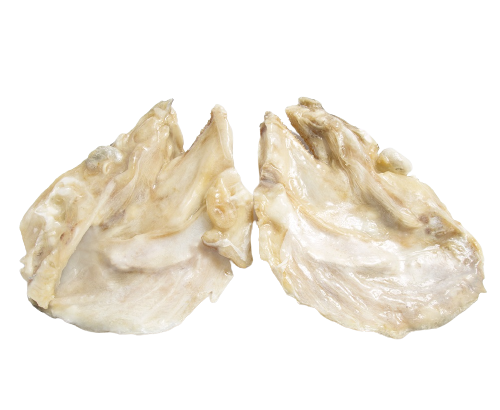 CARAS BACALHAU ICELANDIC AV - Image 2