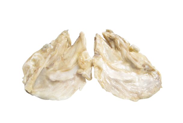 CARAS BACALHAU ICELANDIC AV - Image 2