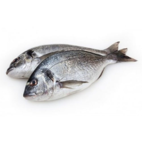 DOURADA INTEIRA MAR IBERICA 200/300 AV