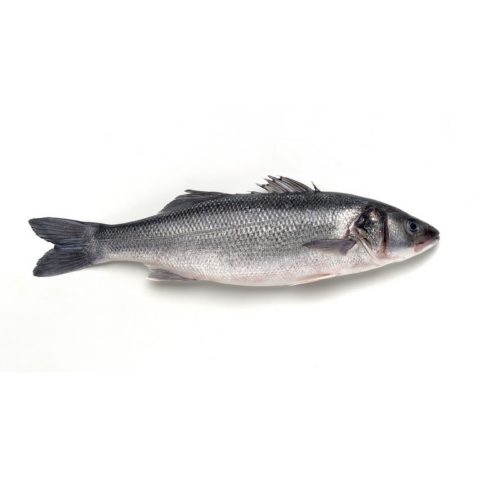 ROBALO INTEIRO MAR IBERICA AVULSO