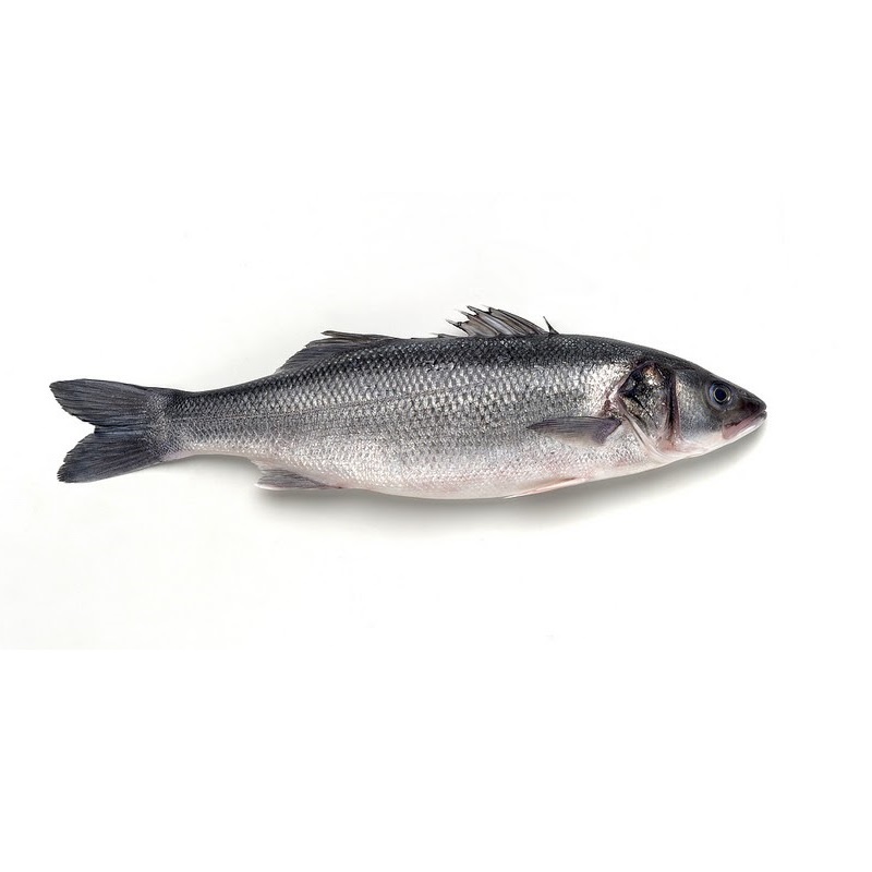 ROBALO INTEIRO MAR IBERICA AVULSO