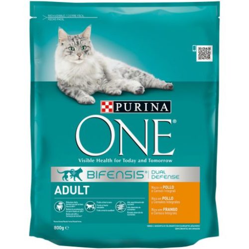 ALIMENTO SECO GATO FRANGO PURINA ONE 800GR