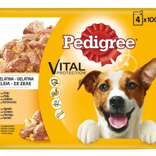 ALIM HUM CÃO PEDIGREE GAL/BORR 4X100GR GELEIA