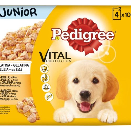 ALIM HUM CÃO PEDIGREE JUNIOR 4X100G