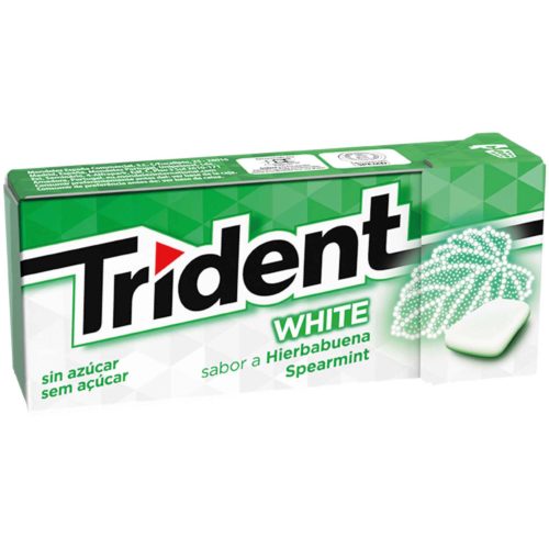 PAST TRIDENT WHITE SPEARMINT 14,5G