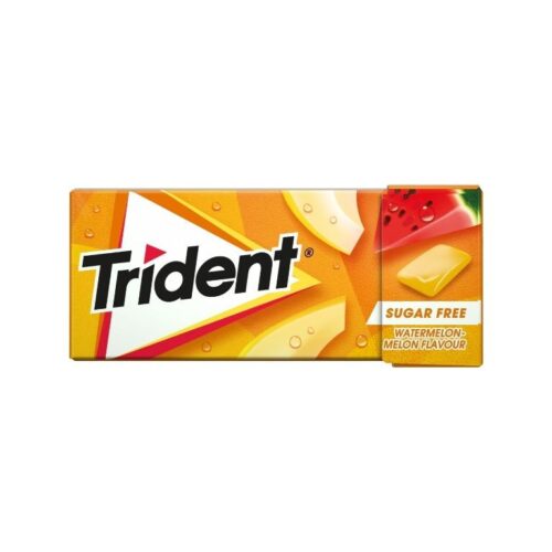 PAST TRIDENT MELAO MELANCIA 14,5G
