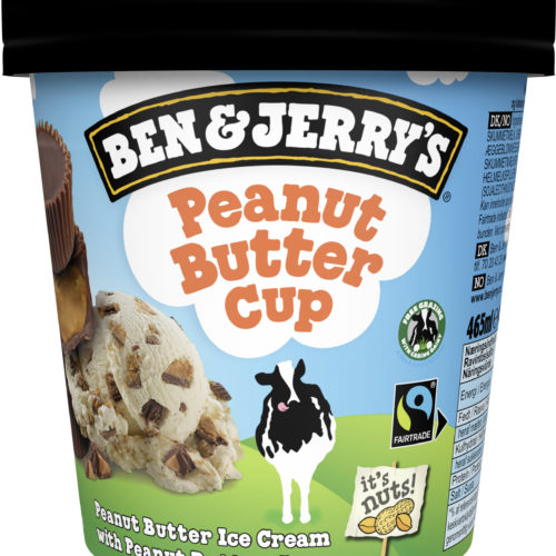 GELADO BEN & JERRY'S PEANUT BUTTER CUP 465ML