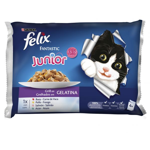 ALIM GATO FELIX FANTAST JUNIOR 4X85G