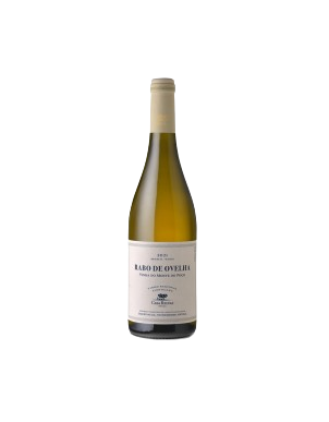 VINHO BRANCO CASA RELVAS RABO DE OVELHA 75CL