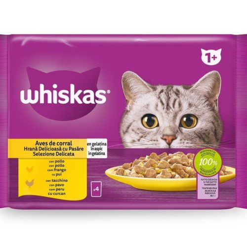 ALIM HUM GATO WHISKAS FRANGO PERU 4X85GR