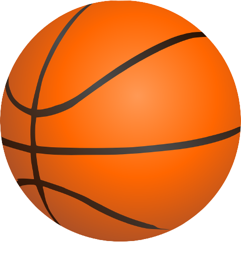 BOLA BASKET BL 13001