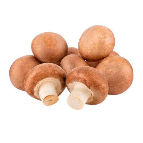 COGUMELO MARRON KG