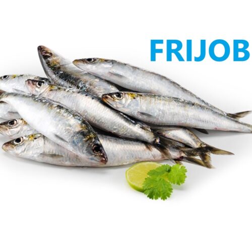 SARDINHAS PORTUGUESA CONGELADAS FRIJOBEL AVULSO