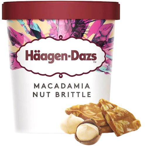 GELADO HAAGEN-DAZS NOZES DE MACADÂMIA 460ML