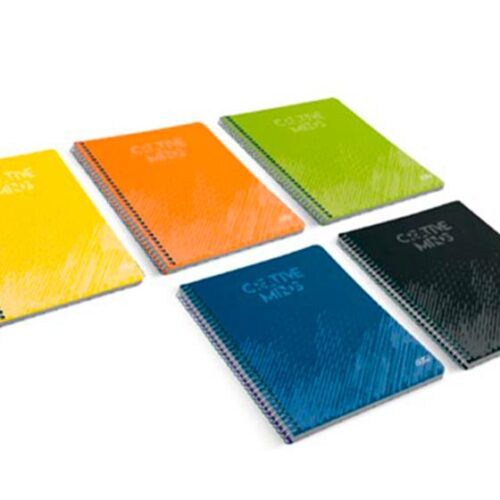 CADERNO ESPIRAL A4 CREATIVE MINDS 80/60FLS SORTIDO PAUTADO MIX