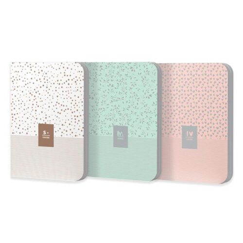 NOTEBOOK A5 SILVER & COPPER 90GR 100FLS SORTIDO PAUTADO