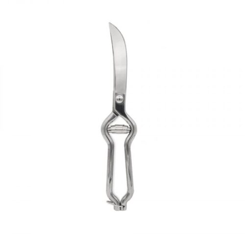 TESOURA CAENE POLIDO 2 25CM