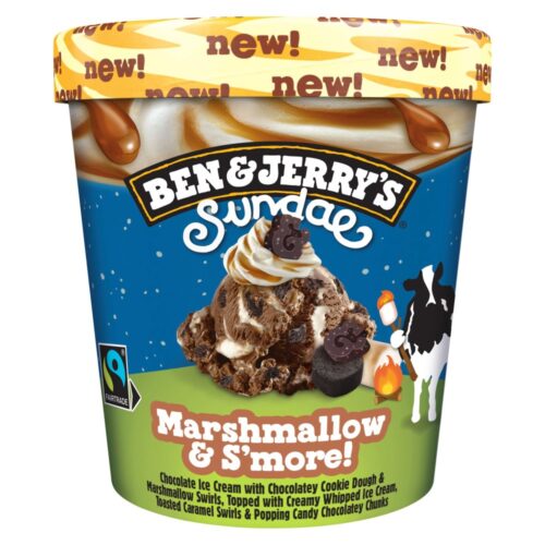 GELADO BEN & JERRY'S MARSHMALLOW AND S'MORE SUNDAE 465ML