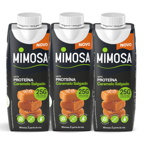 LEITE PROTEÍNA CARAMELO SALGADO MIMOSA 250ML - Image 2