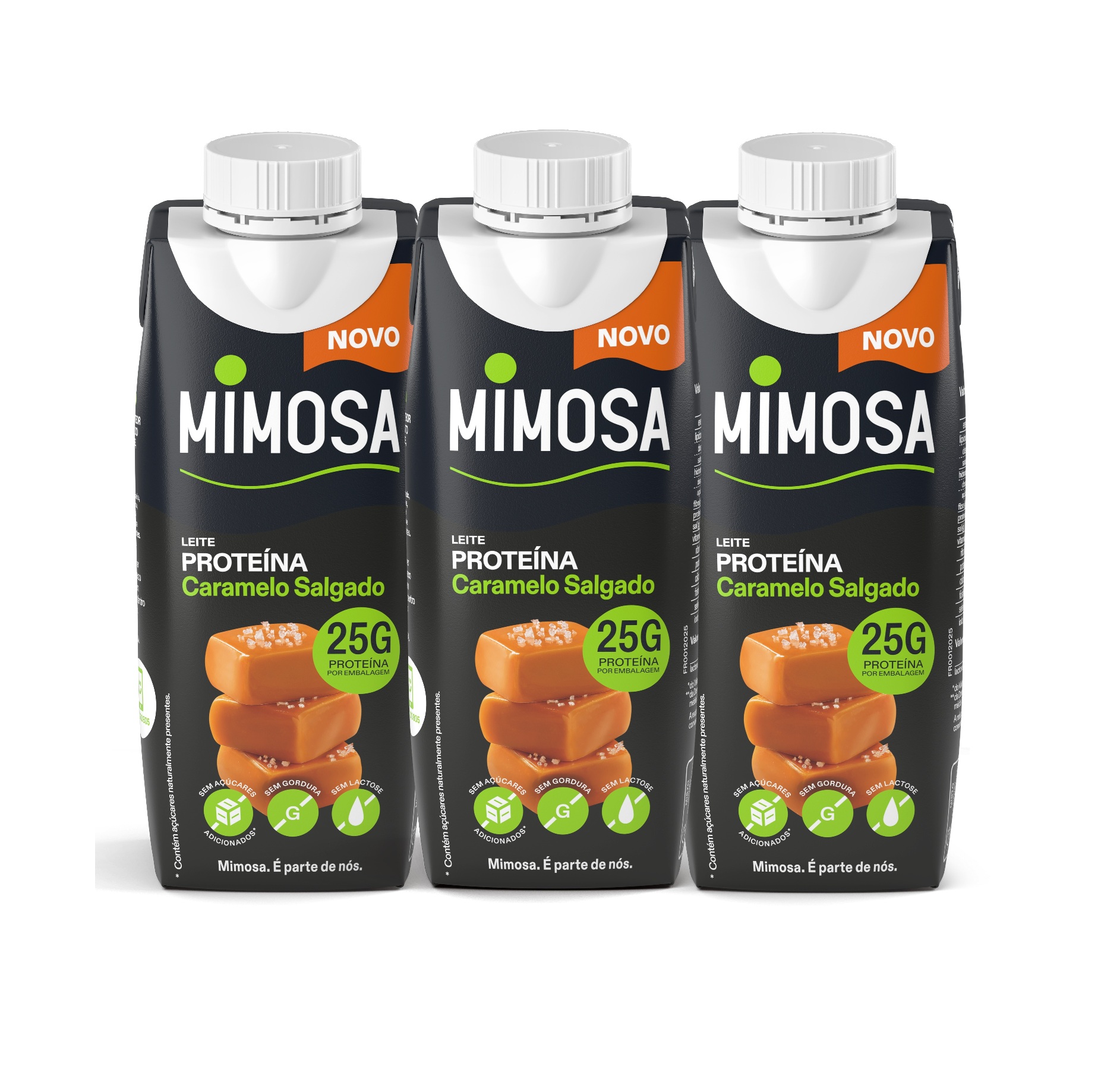 LEITE PROTEÍNA CARAMELO SALGADO MIMOSA 3X250ML