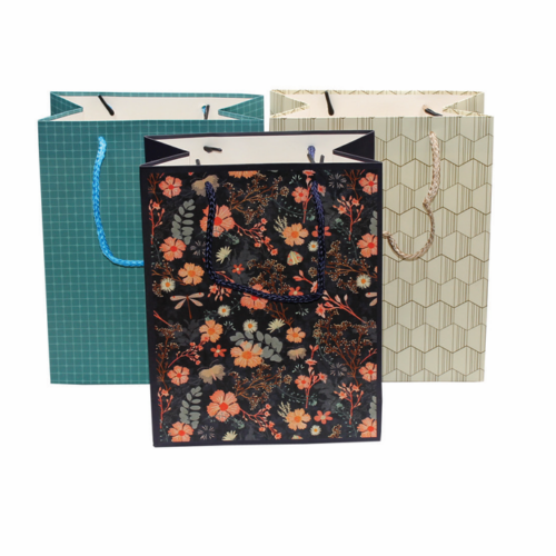SACO DE PAPEL P/ PRENDA 23X18X10 26914