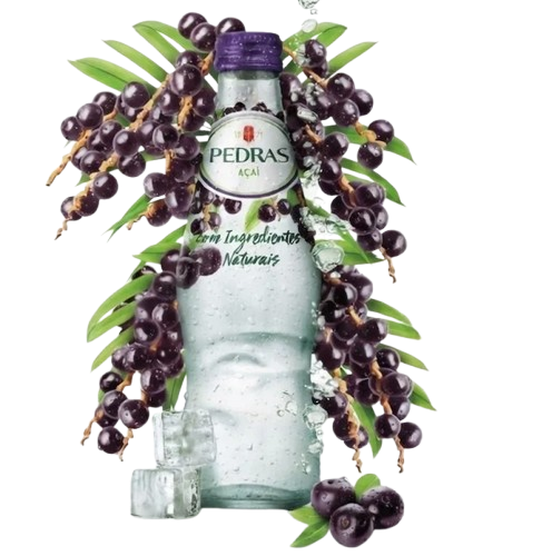 ÁGUA C/ GÁS AÇAÍ PEDRAS 25CL