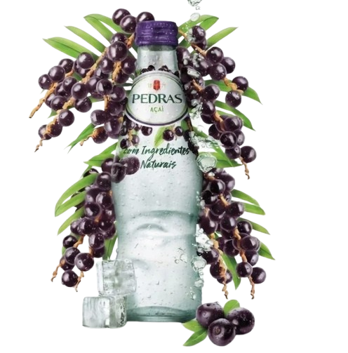 ÁGUA C/ GÁS AÇAÍ PEDRAS 25CL